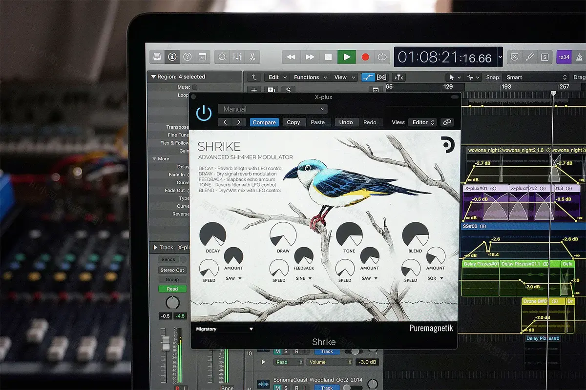 Puremagnetik Shrike v1.0.3 音乐插件Win版                
