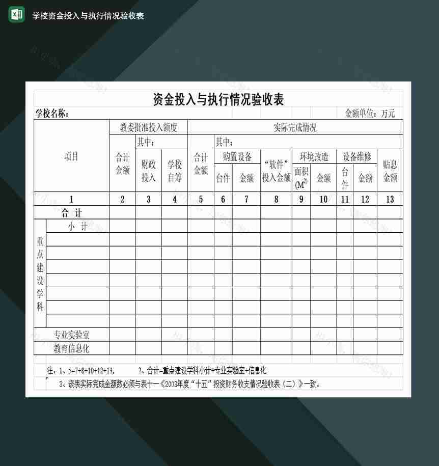 重点高等学校资金投入与执行情况验收表Excel模板-1