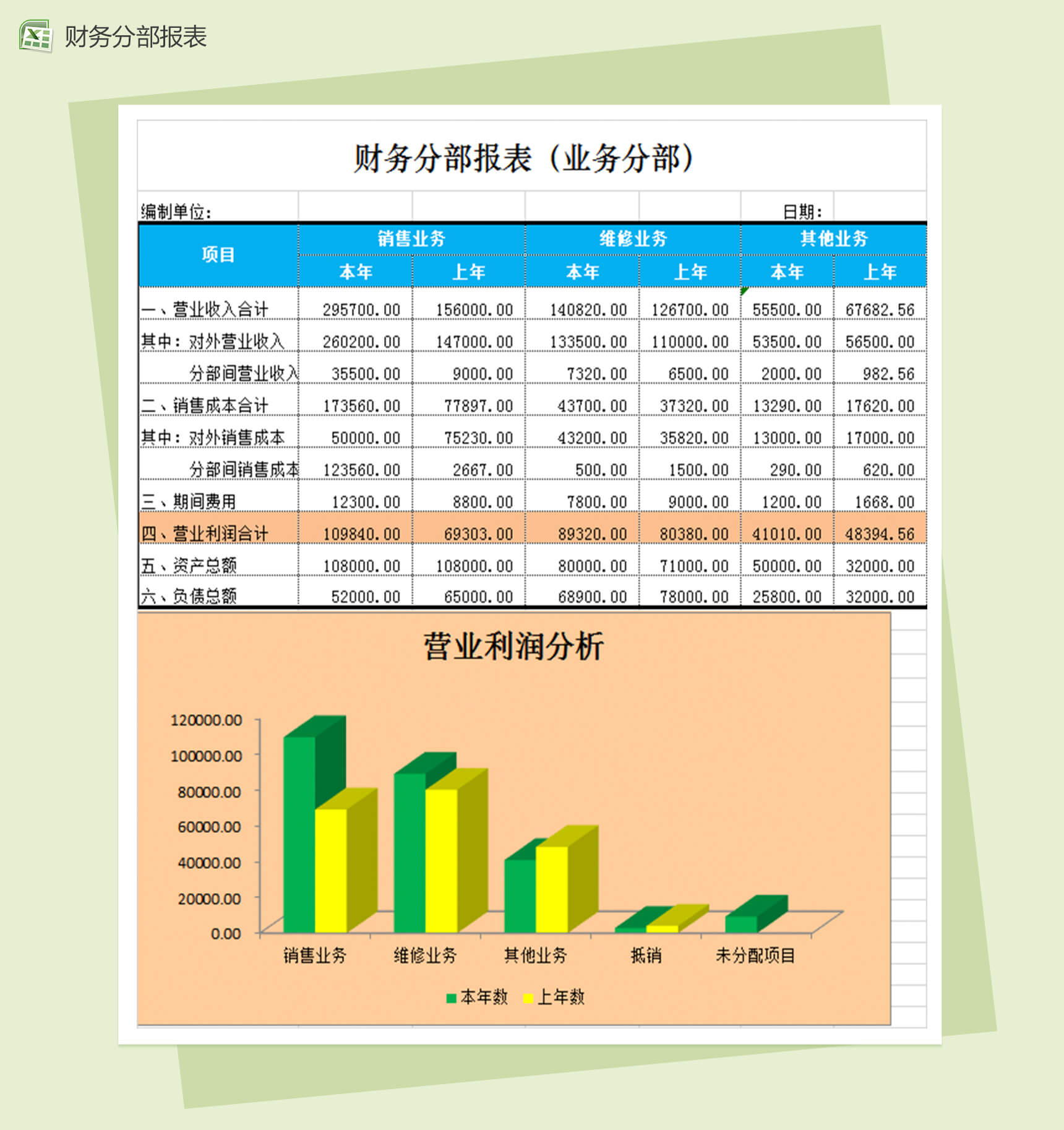 财务分部报表会计报表excel表格模板