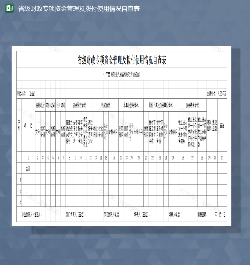 省级财政专项资金管理及拨付使用情况自查表Excel模板-1