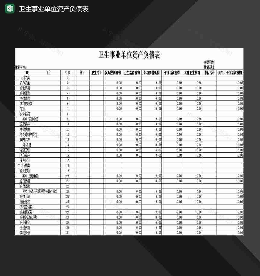 卫生事业单位资产负债明细登记表格Excel模板-1