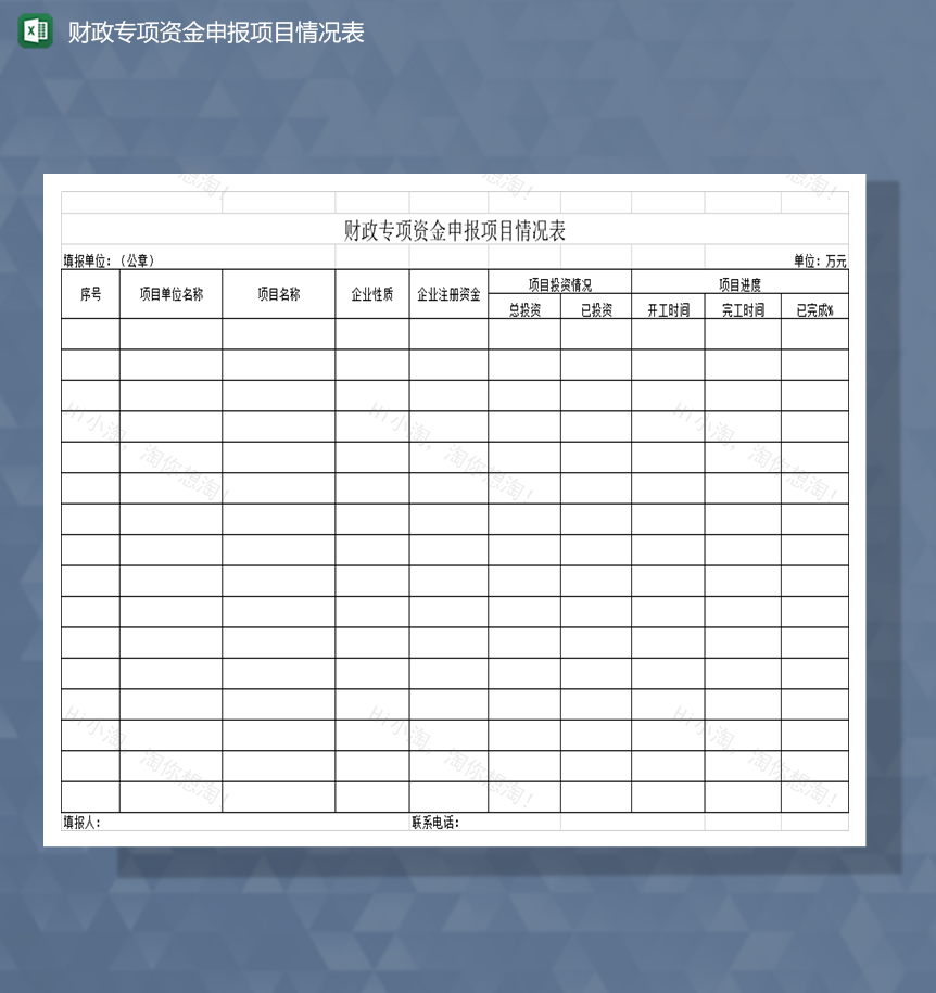 财政专项资金申报项目情况表Excel模板-1