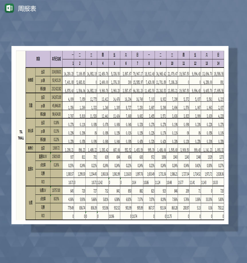 tsl项目周报表Excel模板