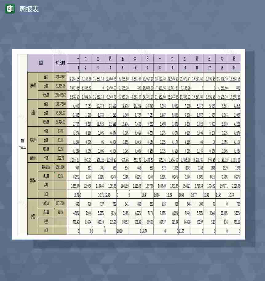 tsl项目周报表Excel模板-1