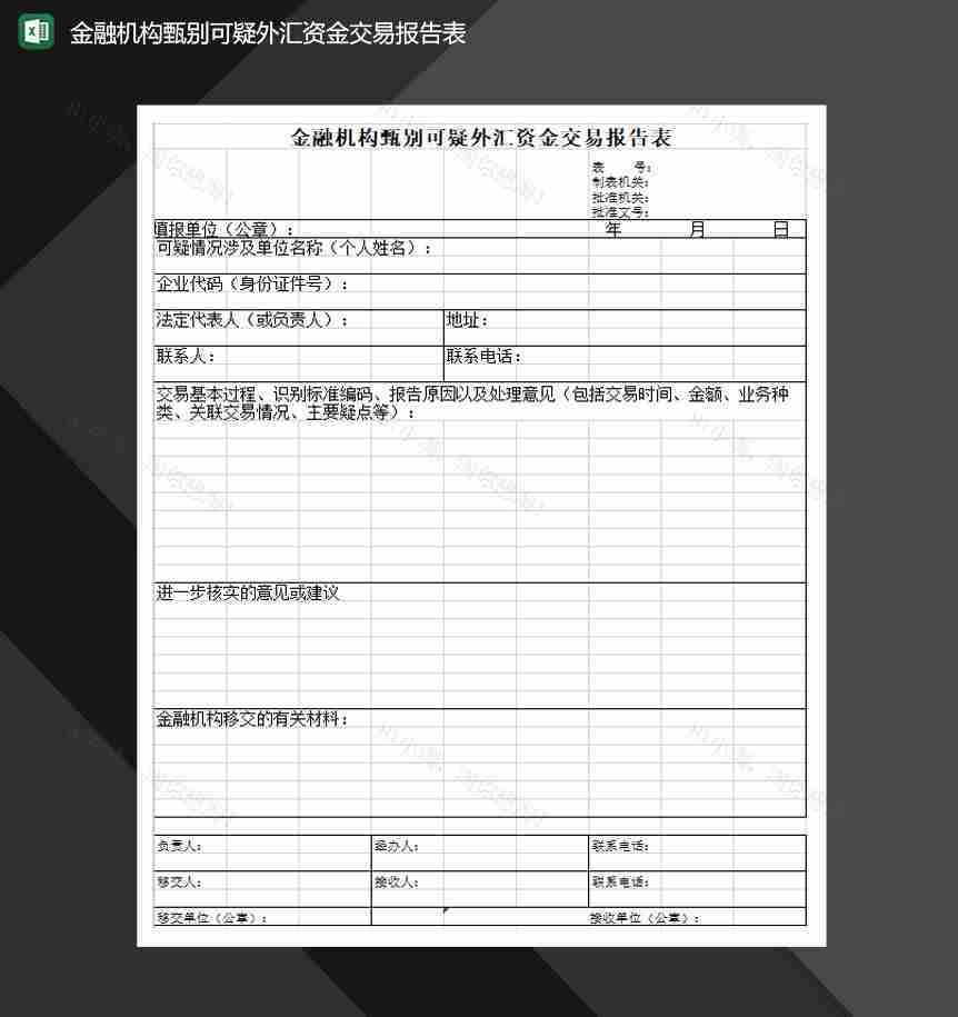 金融机构甄别可疑外汇资金交易报告表Excel模板-1