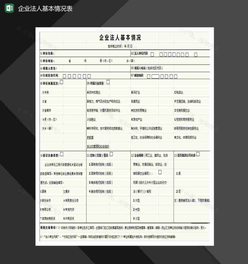 企业法人基本情况表Excel模板-1