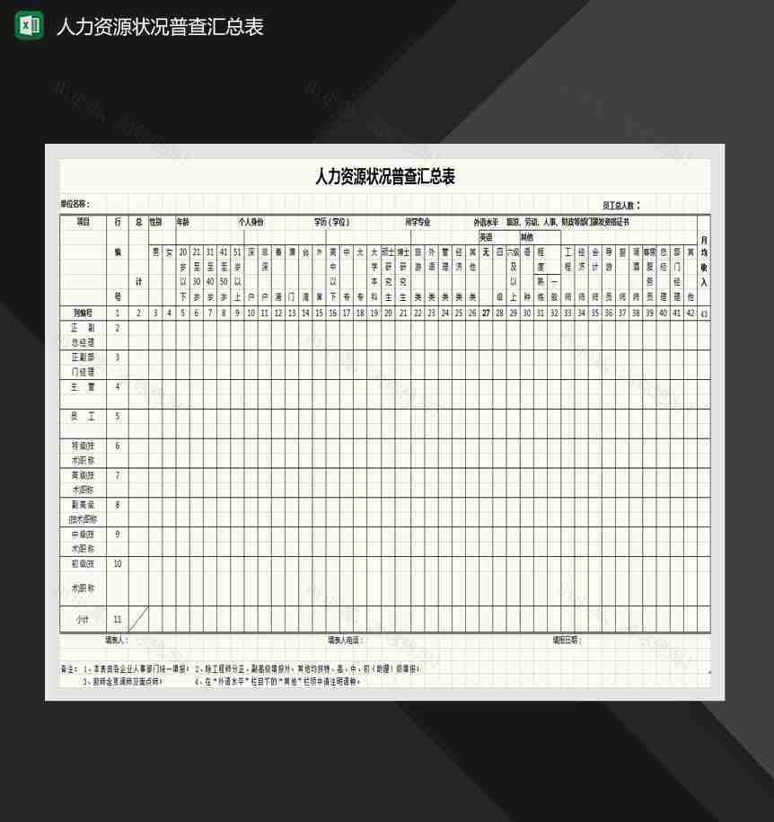 人力资源状况普查汇总表Excel模板-1
