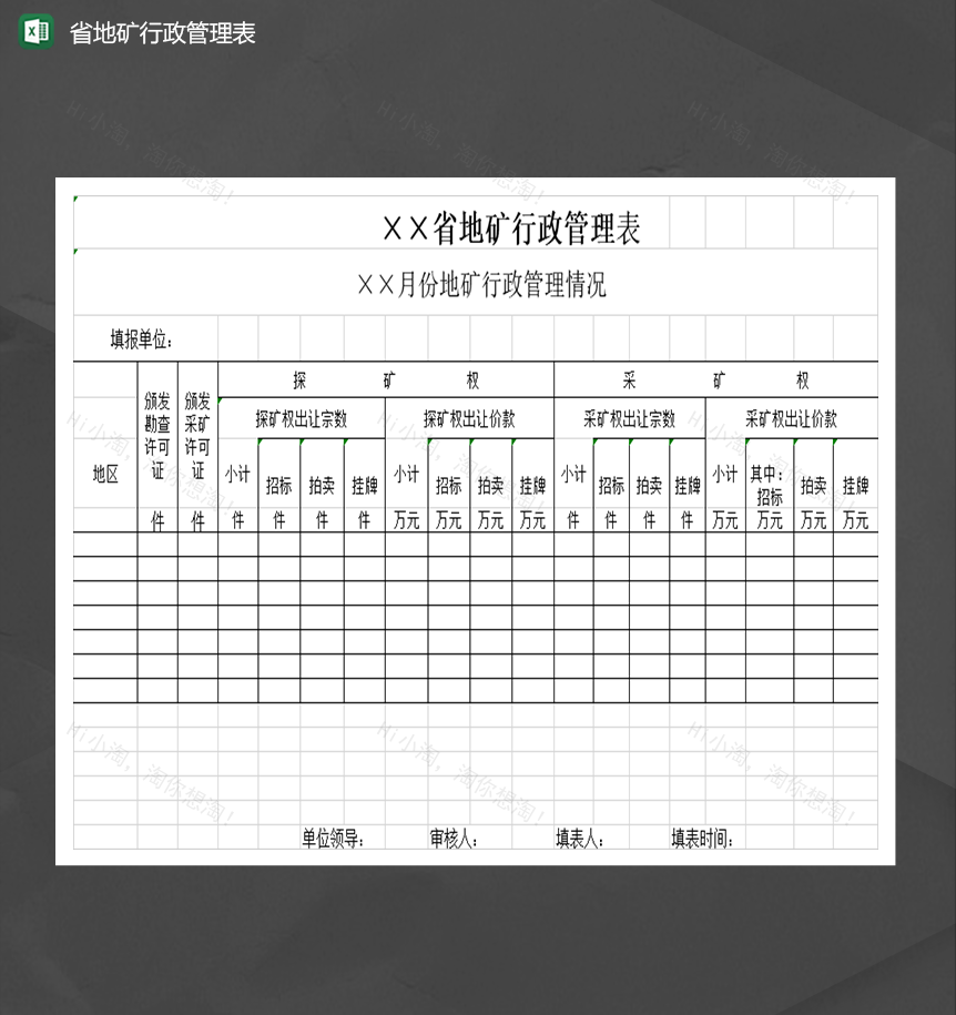 地矿行政管理情况明细表Excel模板-1