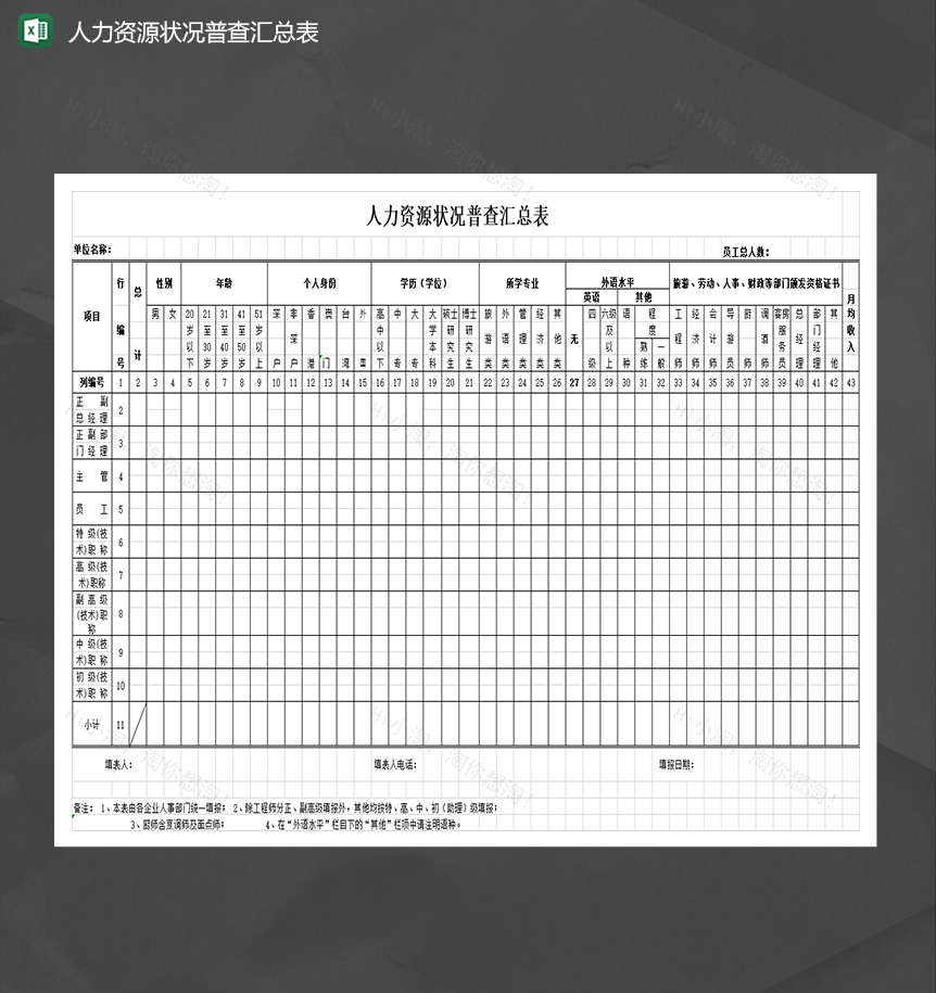 人力资源公司员工状况普查汇总表Excel模板-1
