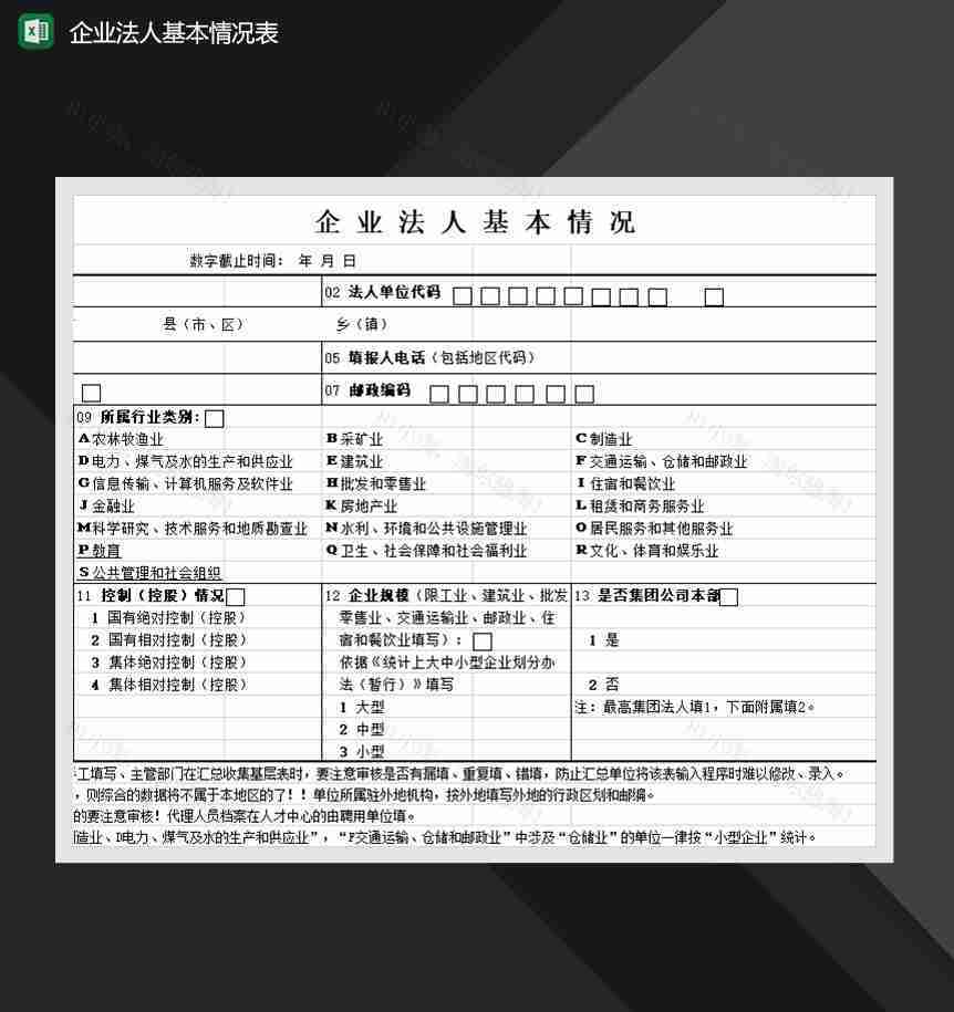 企业法人基本情况表Excel模板-1
