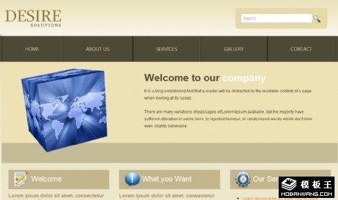 浅金色商务解决方案网页模板