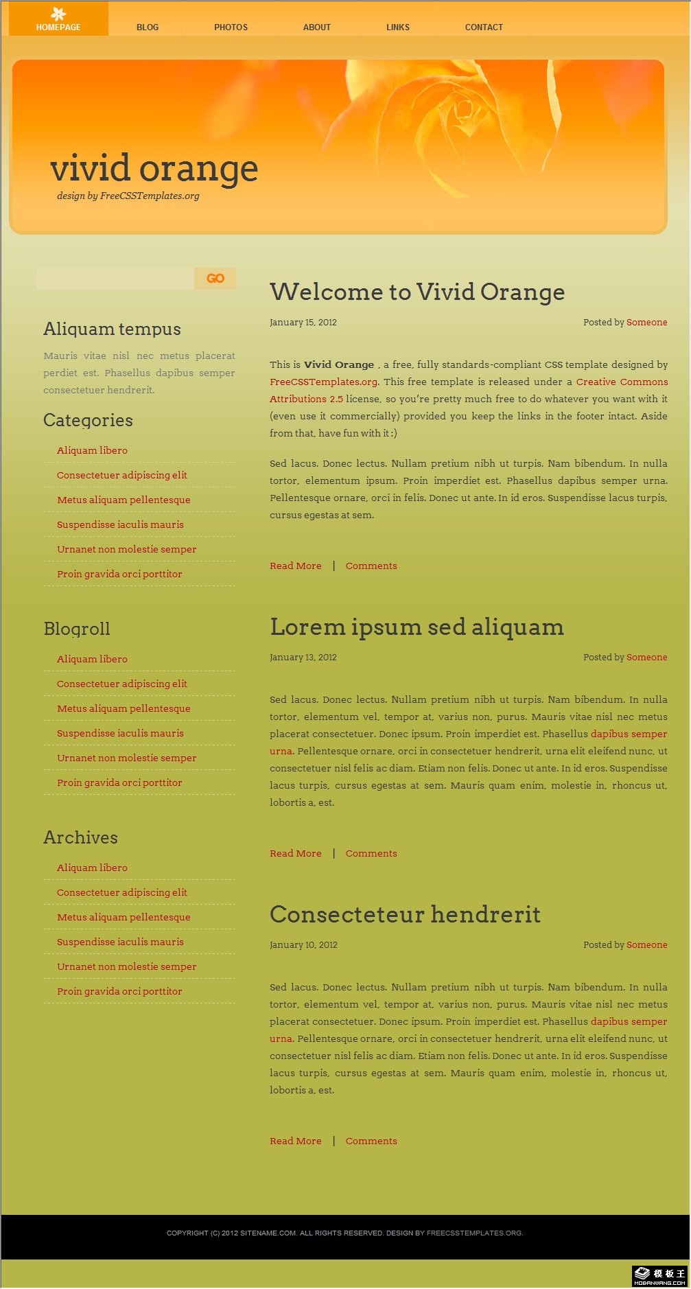 动感橙色信息网页模板