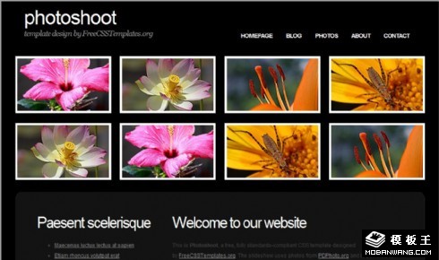 拍摄图片信息网页模板