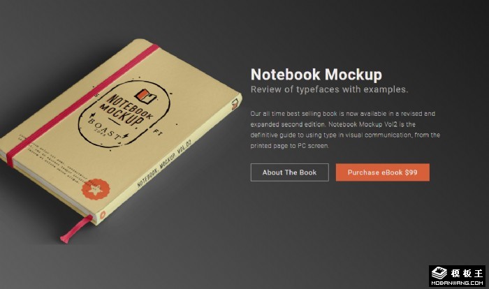 电子书展示推广网页模板