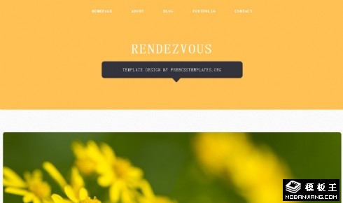 橘黄会合信息列表网页模板