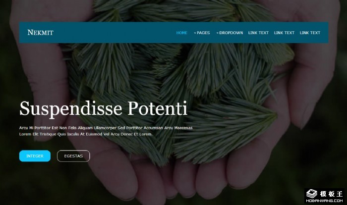 自然探索信息网页模板