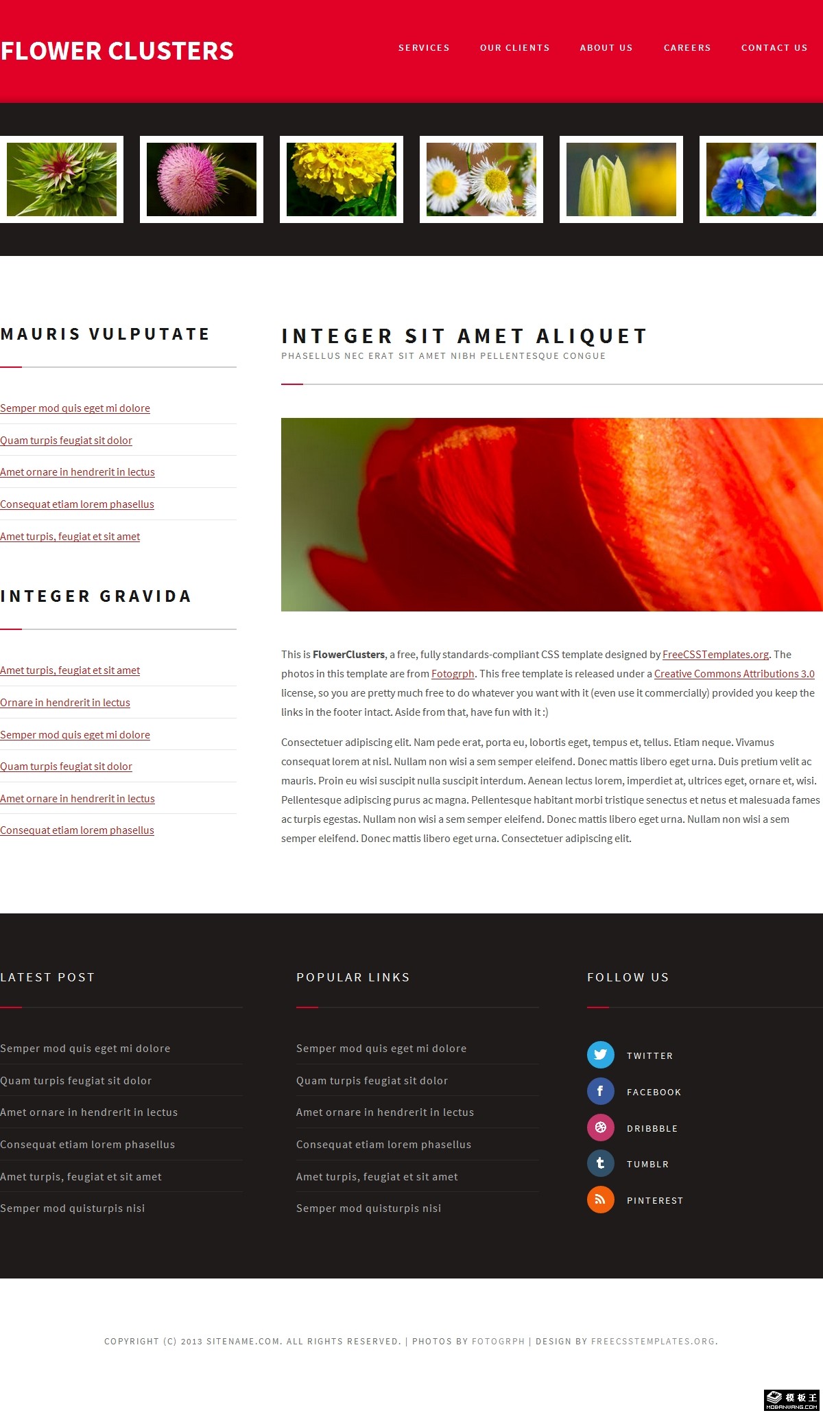 花簇锦攒图册网页模板