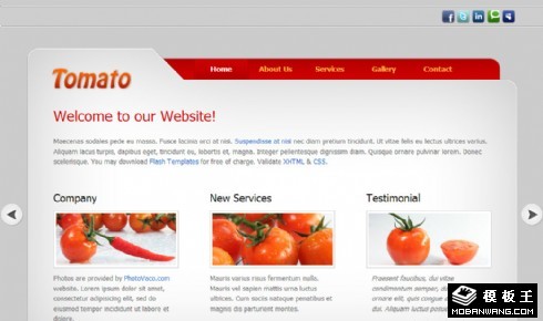 简约番茄信息介绍网页模板