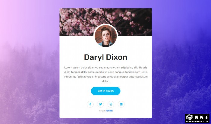 个人资料卡网页模板