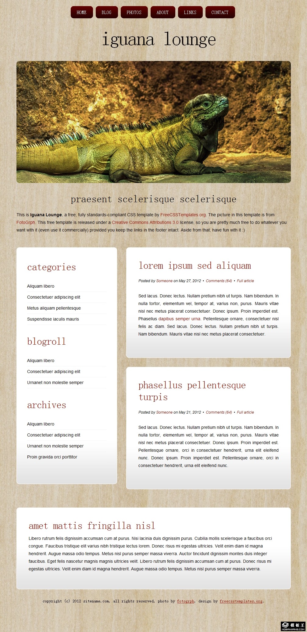 鬣蜥休息室木质背景网页模板