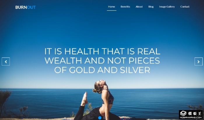 多维健康管理网页模板