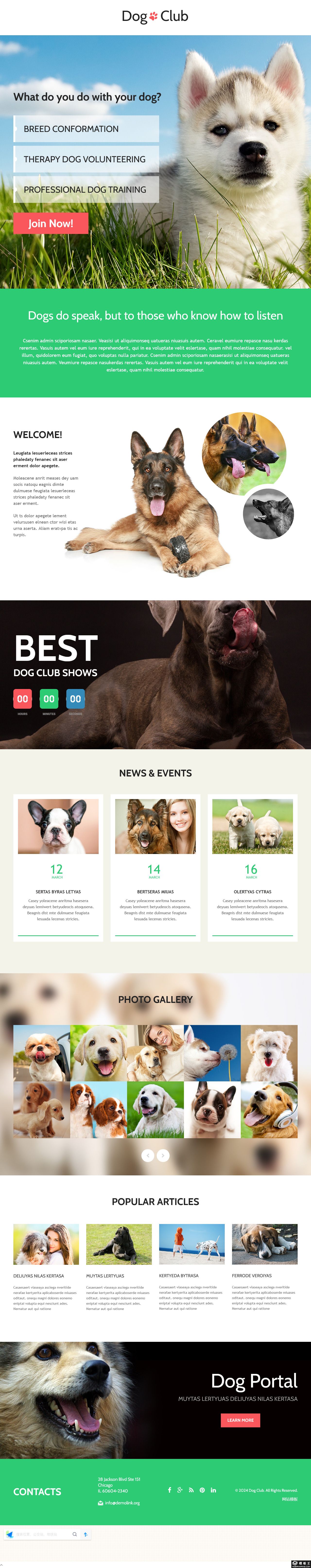 狗狗宠物俱乐部单页模板-PC预览