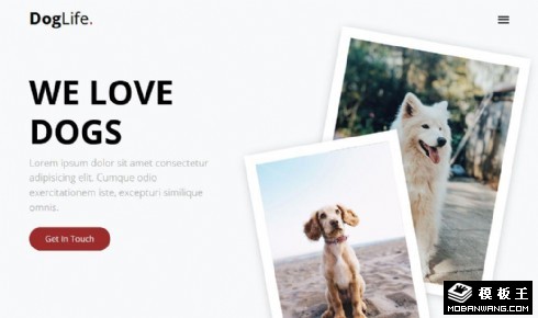 宠物生活护理响应式网页模板