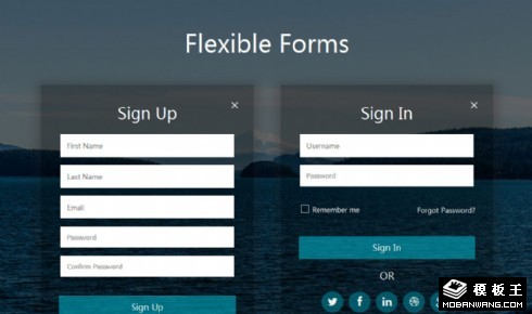 海面注册登录表单网页模板