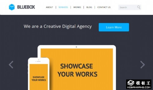 蓝盒网络开发设计网页模板