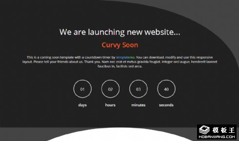 曲线倒计时说明响应式网页模板