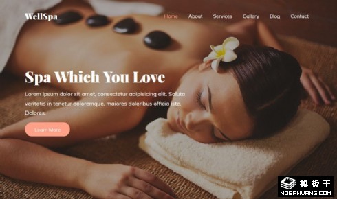 SPA服务项目响应式网页模板