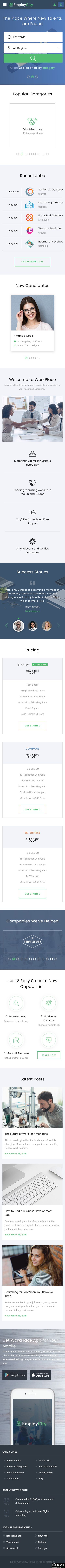 高效招聘求职平台网站模板-手机预览