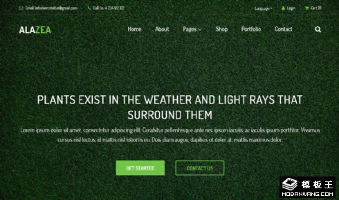 盆栽花卉种植展示响应式网站模板