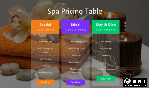 SPA服务价格表切换组件网页模板