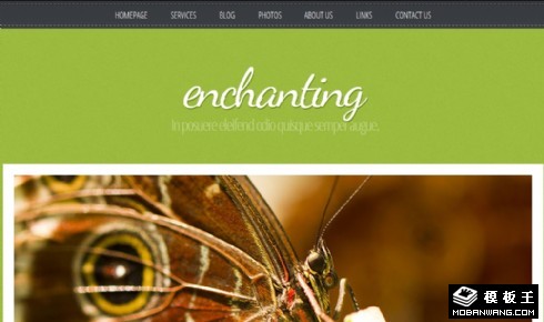 绿之妖娆生态信息网页模板