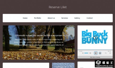 存储信息UIKIT响应式网页模板