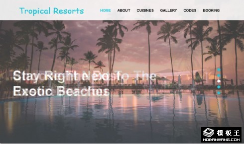 热带度假胜地旅行响应式网站模板