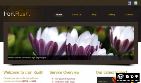 专业服务动态展示网页模板