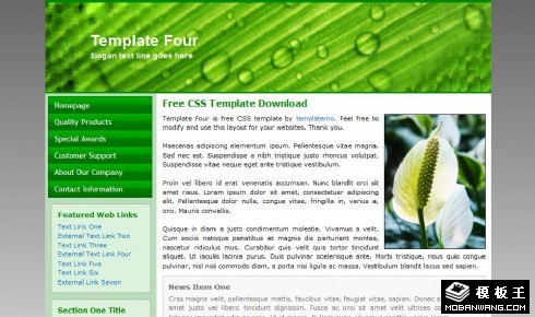 绿色水珠EDM网页模板