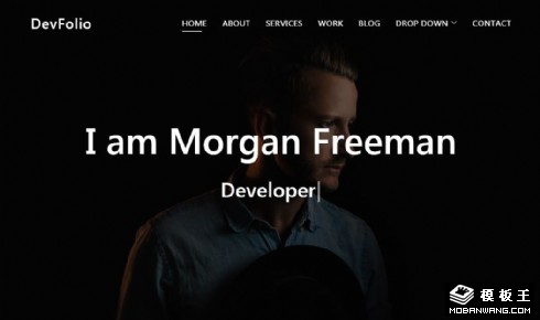 开发者展示动态响应式网页模板