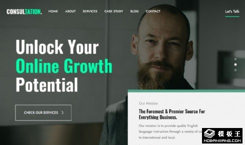 商务分析咨询公司响应式网页模板