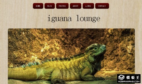 鬣蜥休息室木质背景网页模板