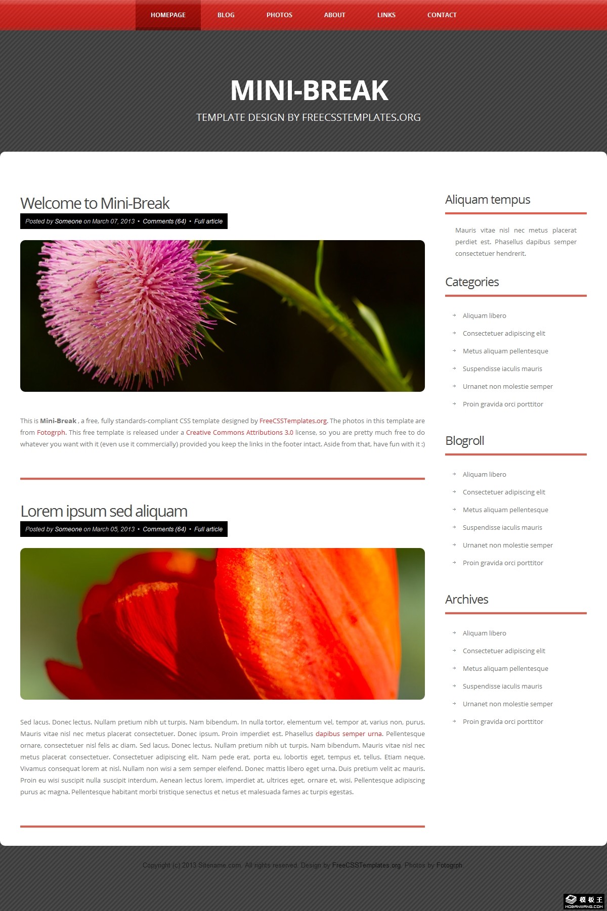 红黑短暂片刻日志网页模板