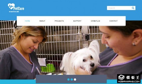 宠物护理中心响应式网页模板