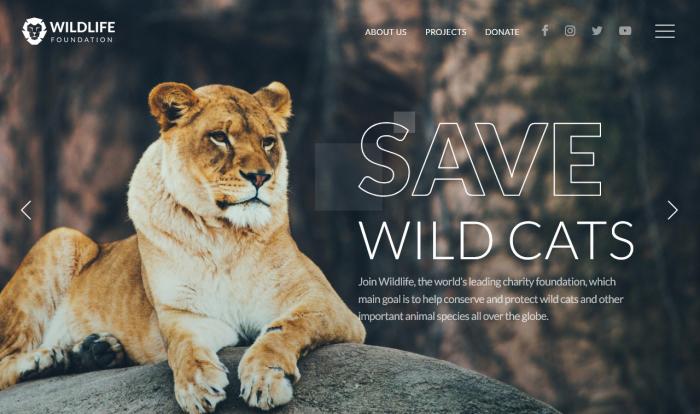 全球野生动物保护行动专属网站模板