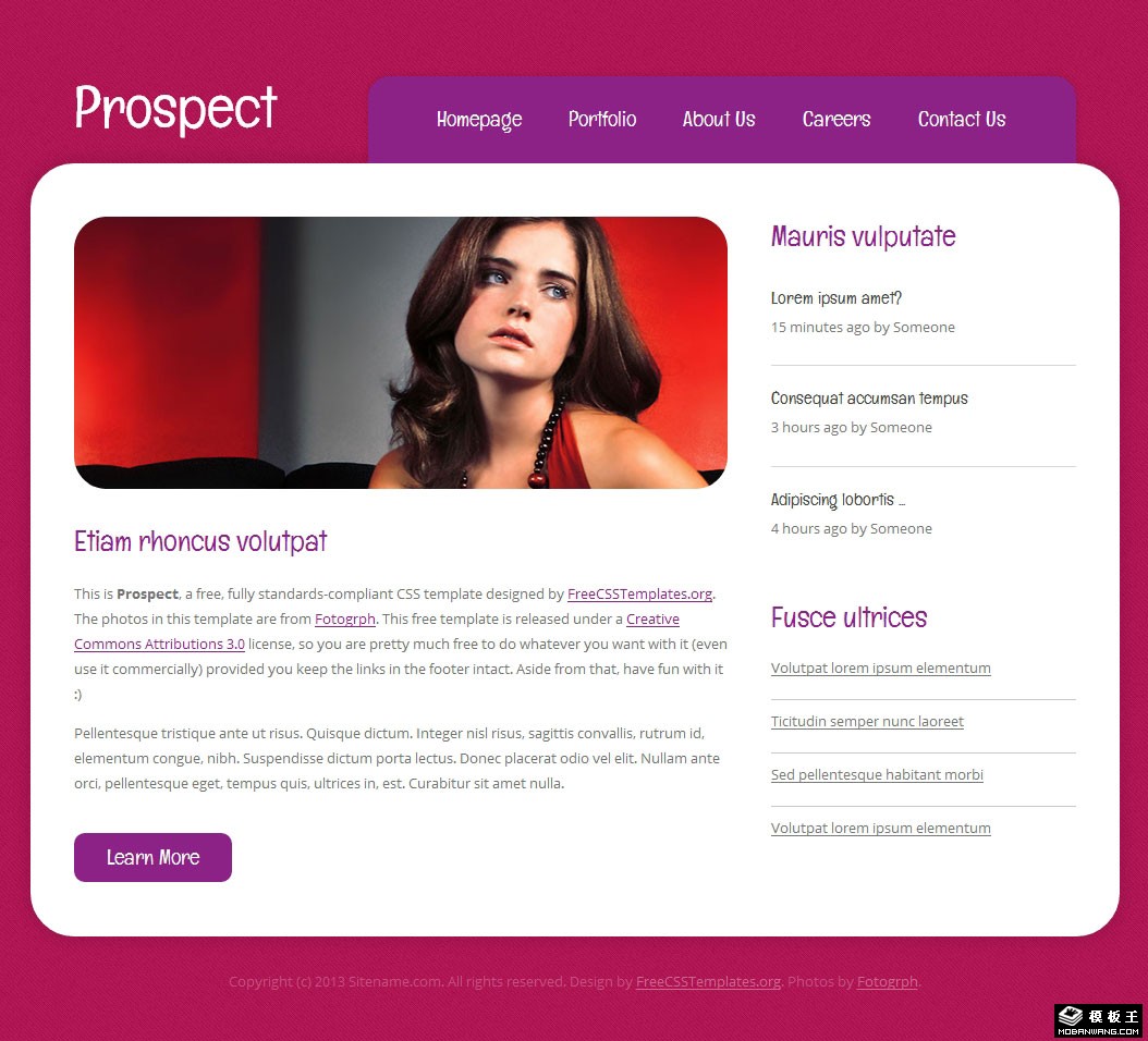 紫红色前景动态网页模板