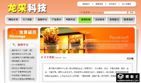 商业公司产品展示网页模板
