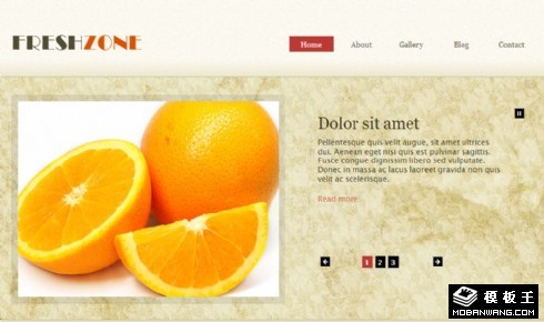 新鲜食材动态网页模板