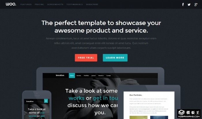 软件服务展示试用网页模板