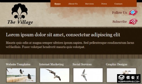 灰棕村庄信息网页模板